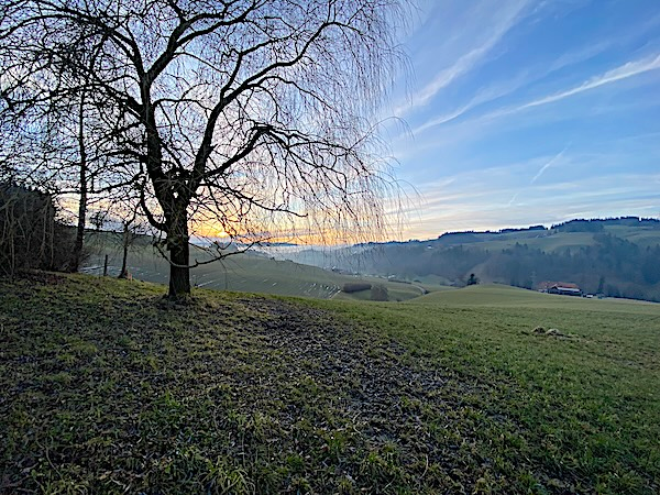 Bauernhaus, Stöckli m. 2 Wohnungen, Quellen, Aussicht, Sonne