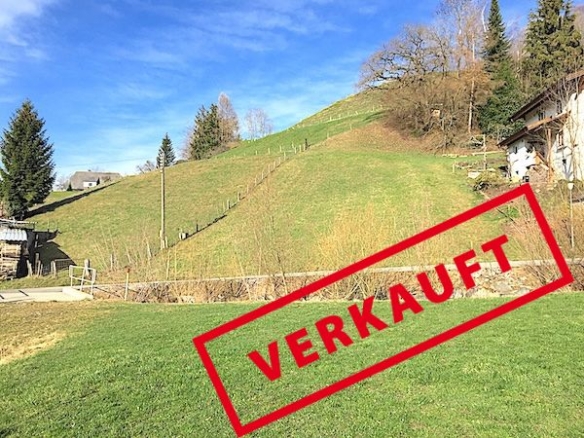 Ruhige Bauparzelle in Wasen